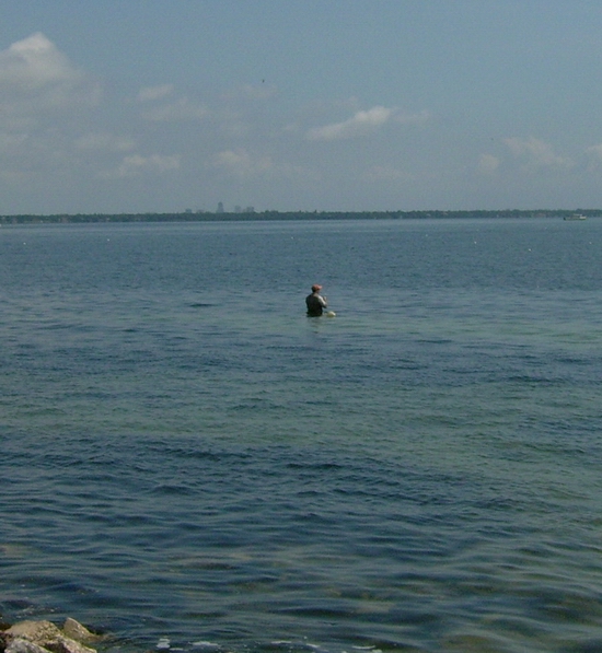 a bait fisherman on the sunshine skyway flats